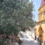Corfu: E-Bike Tour with Wine Tasting and Winery Visit - Exploring Corfu’s Villages and Coastal Paths