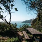 Corfu: Guided Hiking Tour of Arkoudilas Beach and Forests - Discovering Corfu’s Wild Side: What to Expect