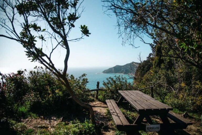 Corfu: Guided Hiking Tour of Arkoudilas Beach and Forests - Discovering Corfu’s Wild Side: What to Expect