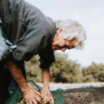 Corfu: Guided Olive Groves Tour with Olive Oil Tasting - The Tour Breakdown: What to Expect