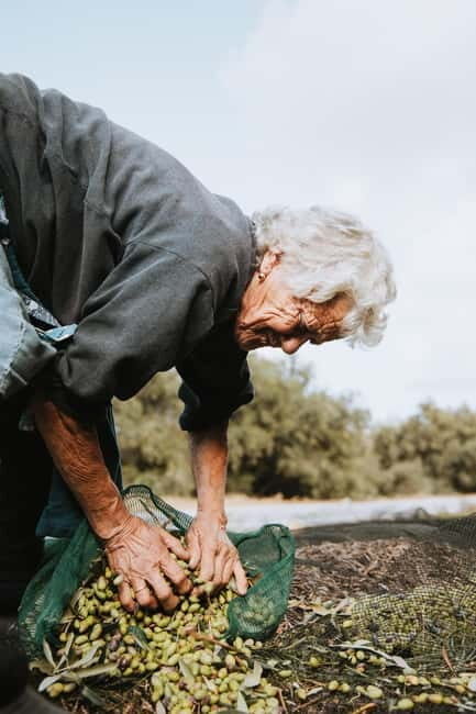 Corfu: Guided Olive Groves Tour with Olive Oil Tasting - The Tour Breakdown: What to Expect