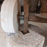 Corfu: Olive Oil and Kumquat Tasting Tour with Minivan - Introduction to the Corfiot Countryside Experience