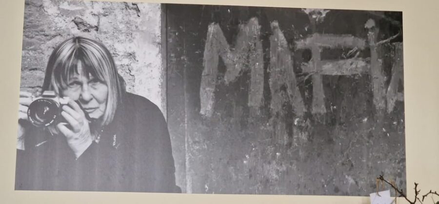 Corleone: Guided Tour of the C.I.D.M.A - Anti-Mafia Movement - A Deep Dive Into the Tour Experience