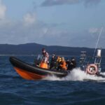 Cornwall: 2 hour Wildlife Watching RIB Tour Adventure - Authentic Insights from Other Travelers