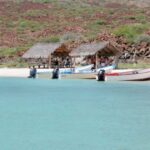 Coronado Island and Snorkel Tour - How the Itinerary Unfolds