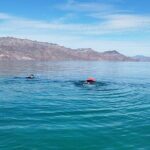 Coronados Island Tour in Loreto Bay - FAQs About Coronados Island Tour in Loreto Bay