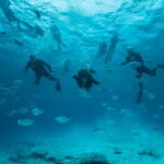 Corralejo: Lobos Island Beginner Dive Boat Tour and Snorkel - An In-depth Look at the Experience