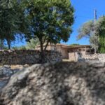 Corsica: Organic wine tasting - Deep Dive into Organic Winemaking
