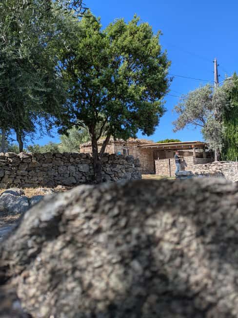 Corsica: Organic wine tasting - Deep Dive into Organic Winemaking