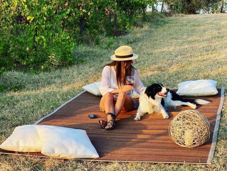 Cortona: Organic wines tasting at Colle Acacia's vineyards - Why This Tour Offers Great Value