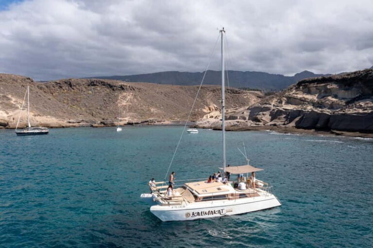 Costa Adeje: Catamaran Tour, Snorkelling, Snacks & Drinks - The Atmosphere and Crew
