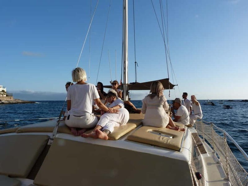 Costa Adeje: Private Catamaran Tour 22 Persons Max - Who Will Love This Experience?