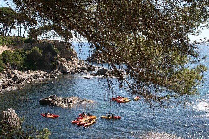 Costa Brava Guided Kayak and Snorkeling Excursion in Playa de Aro - Final Thoughts