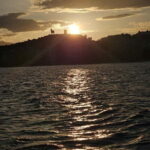 Costa del Sol: Best Sunset Cruise from Fuengirola - The Landscape and Marine Life: What Youll See