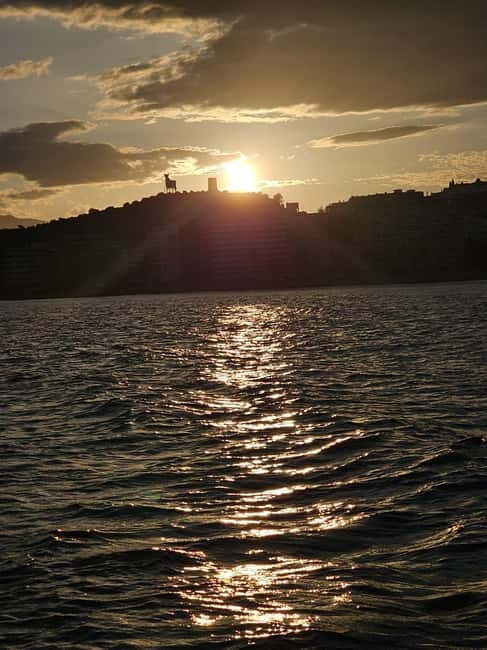 Costa del Sol: Best Sunset Cruise from Fuengirola - The Landscape and Marine Life: What Youll See 