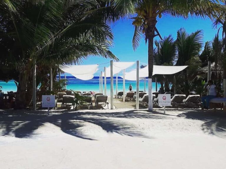 Costa Maya: Beach with Open Bar, Massage, Lunch & Snorkeling - Authentic Experiences and Honest Insights from Reviewers  