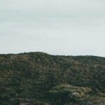 Costal Lights A Newfoundland Photography Adventure - What’s Included and What’s Not