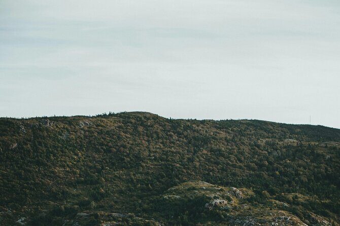 Costal Lights A Newfoundland Photography Adventure - What’s Included and What’s Not
