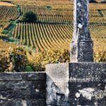 Côte de Nuits: Excursion in the heart of the vineyards - What the Reviews Say