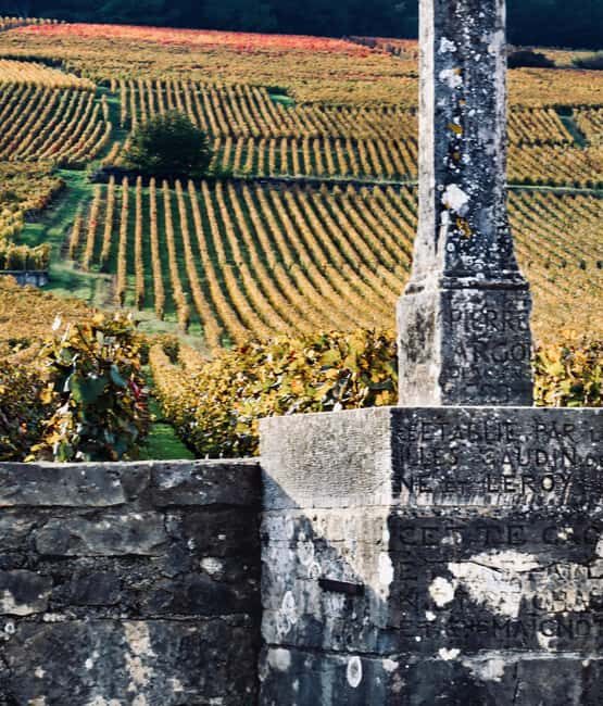 Côte de Nuits: Excursion in the heart of the vineyards - What the Reviews Say