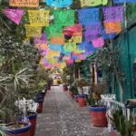 Coyoacan, history and life in a magical neighborhood - The Itinerary in Detail