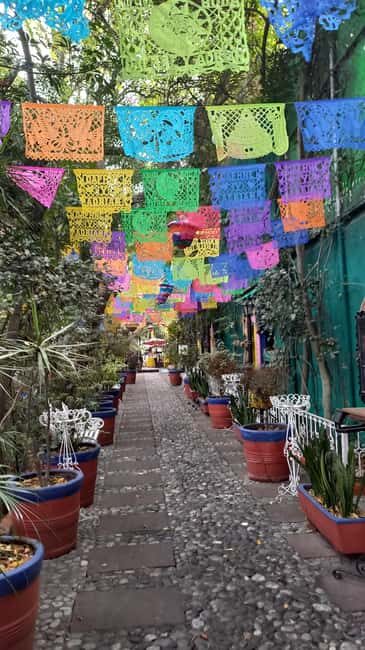 Coyoacan, history and life in a magical neighborhood - The Itinerary in Detail