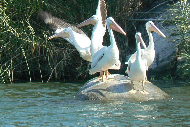 Coyuca Lagoon From Acapulco - FAQ