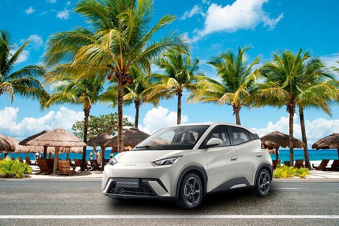 Cozumel Airport Car Roundtrip - Why This Transfer Offers Good Value