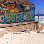 Cozumel Coffee Culture and Tastings - Who Will Love This Tour?