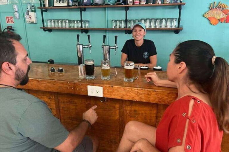Cozumel: Craft Beer Tasting Experience with Brewery Tour - What Makes This Tour Worth It?