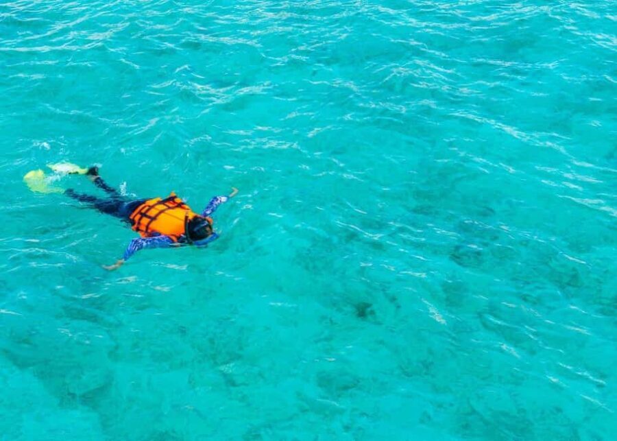 Cozumel: El Cielo & Reef Private Boat Tour with Snacks - Final Thoughts  