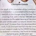 Cozumel Jungle ATV Tour Adventure and Caverns with transfer - The Itinerary in Detail