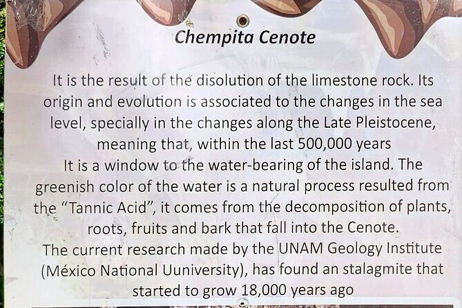 Cozumel Jungle ATV Tour Adventure and Caverns with transfer - The Itinerary in Detail