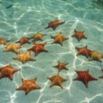 Cozumel Luxury Sailing and Snorkeling Experience - Who Should Consider This Tour?