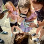 Cozumel: Mayan Roots and Local Tastes Guided Tour - A Journey into Mayan Ecology: The Stingless Bee Farm