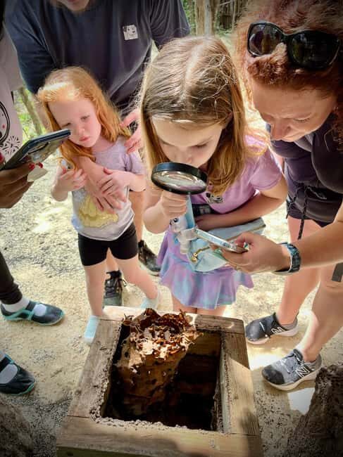 Cozumel: Mayan Roots and Local Tastes Guided Tour - A Journey into Mayan Ecology: The Stingless Bee Farm