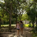 Cozumel: Mayan Ruins Guided Tour with Snorkeling & Lunch - Final Thoughts