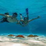 Cozumel: Palancar, Columbia and Cielo Reefs Snorkeling Tour - The Experience Breakdown