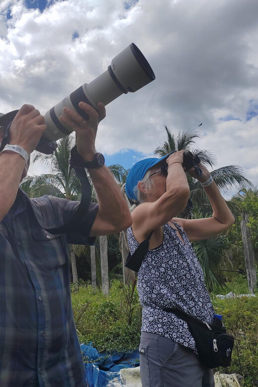 Cozumel: Private Car, Driver & Certified Tour Guide - Who Is This Tour Best For?