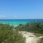 Cozumel: Private Jeep Tour, Mayan Ruins, Snorkeling & Lunch - Who Will Love This Tour?