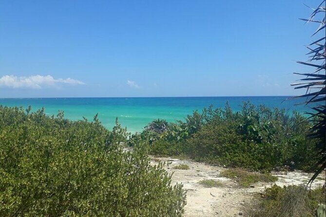 Cozumel: Private Jeep Tour, Mayan Ruins, Snorkeling & Lunch - Who Will Love This Tour?