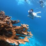 Cozumel Private Snorkeling, Fishing & El Cielo Charter - Why This Tour Works Well