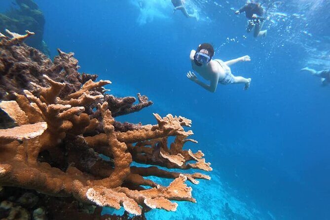 Cozumel Private Snorkeling, Fishing & El Cielo Charter - Why This Tour Works Well