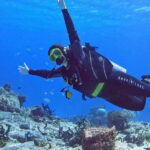 Cozumel Scuba Diving: 2 Tanks in the National Park for certified divers - Itinerary Breakdown: What to Expect