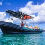 Cozumel Snorkel at El Cielo & 2 Reefs! Transportation from Tulum - Price and Value Analysis