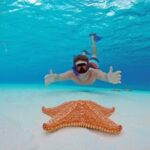 Cozumel: Snorkel at El Cielo, Colombia Reef & Palancar Reef - Whats Included and What to Keep in Mind