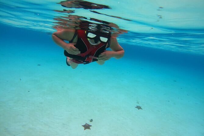 Cozumel Snorkel Nature Experience! Transportation from Cancun & Playa Del Carmen - Who Should Consider This Tour?