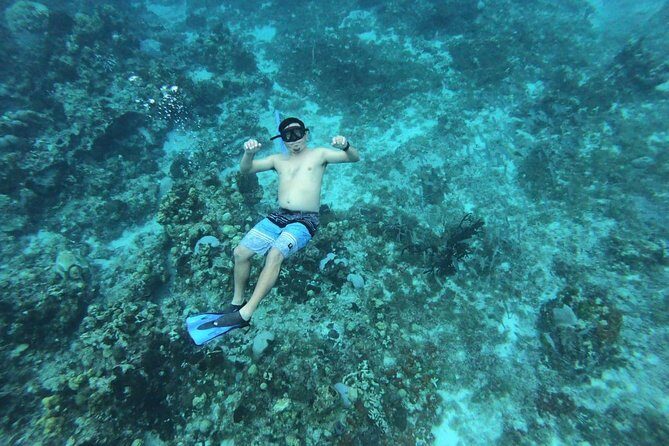 Cozumel Snorkeling Experience! El Cielo Reef from Cancun & Playa del Carmen - Practical Details and Considerations