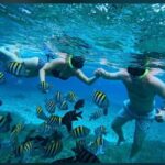 Cozumel: snorkeling on reefs + visit to "El Cielo" - The Real Experience: Authentic Insights from Reviews