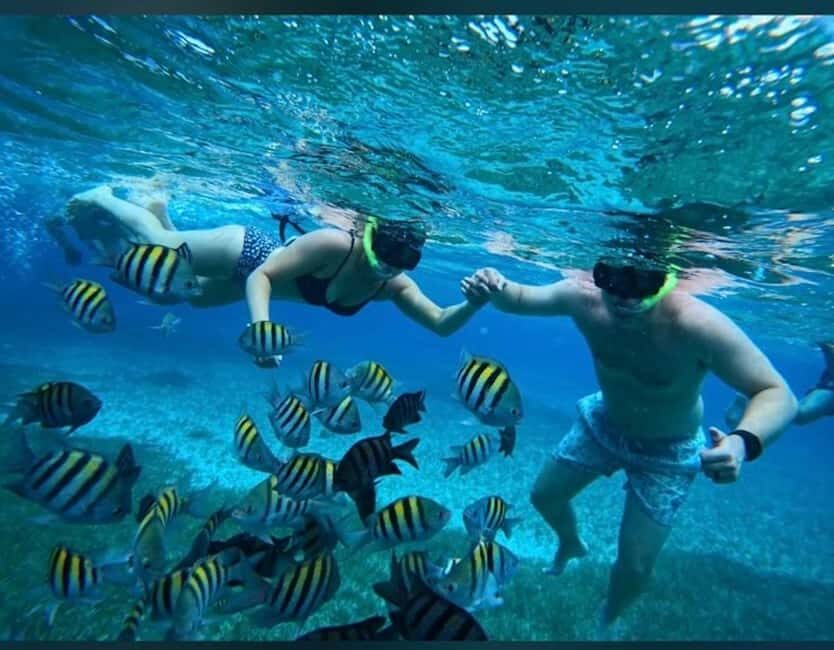 Cozumel: snorkeling on reefs + visit to "El Cielo" - The Real Experience: Authentic Insights from Reviews  